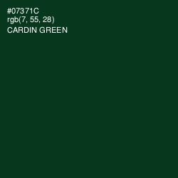 #07371C - Cardin Green Color Image